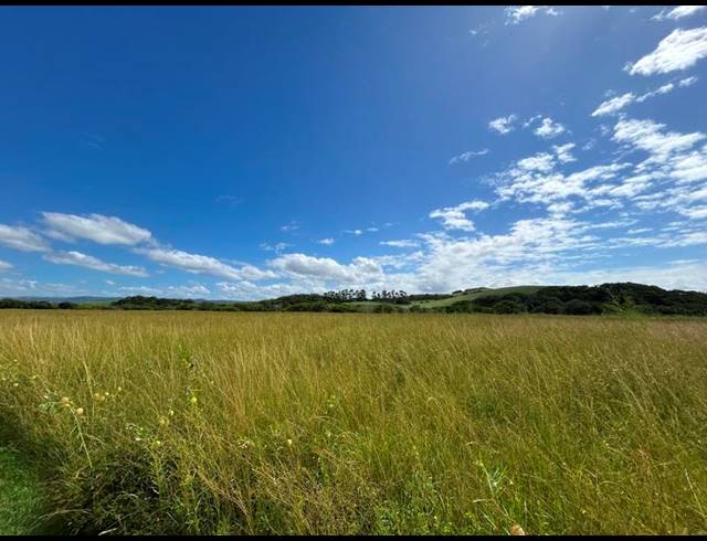 LAND FOR SALE IN ZINI RIVER ESTATE